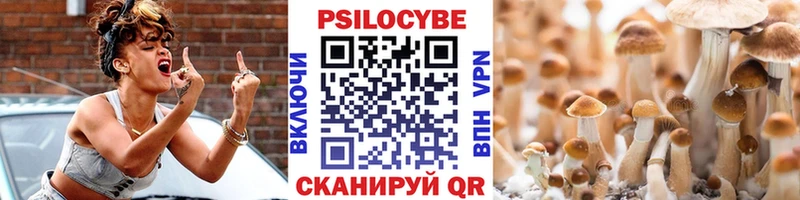 Псилоцибиновые грибы прущие грибы  ОМГ ОМГ ссылка  дарк нет какой сайт  Черногорск 