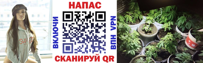Шишки марихуана LSD WEED Черногорск